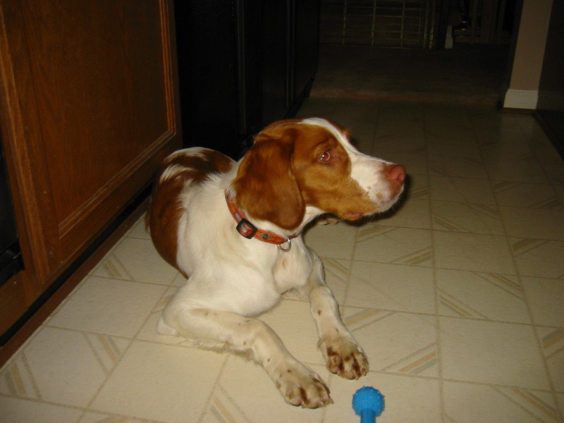 Scaled image 2004-img_0405.jpg 