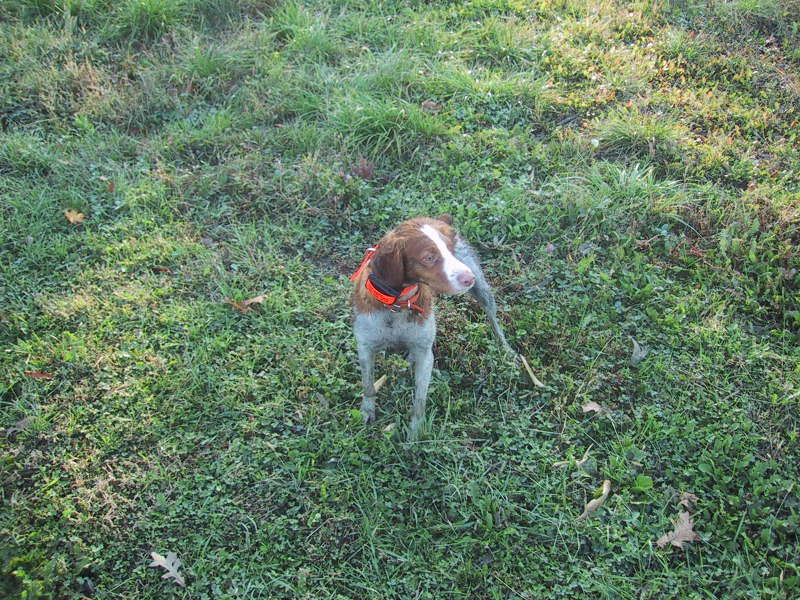 Scaled image 2004-img_2064.jpg 