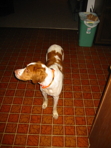 Scaled image 2005-img_0548.jpg 