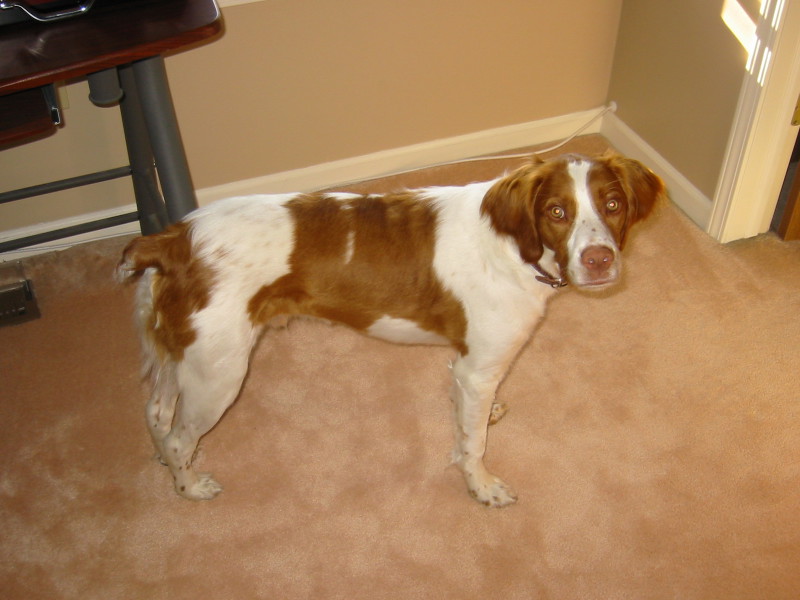 Scaled image 2005-jesse2.jpg 