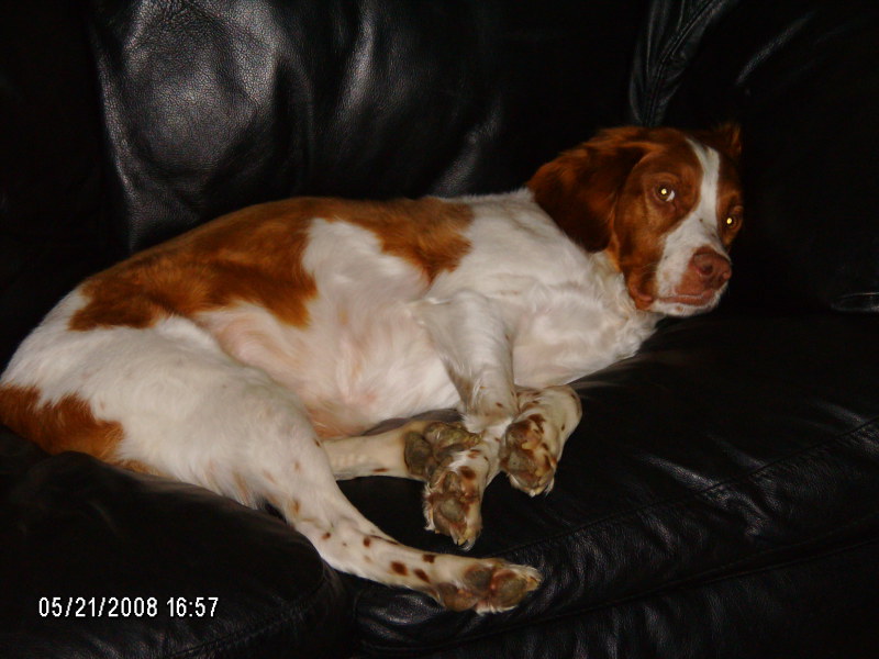 Scaled image 2008-hpim5511.jpg 