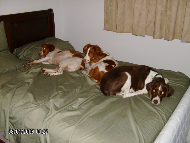 Scaled image 2008-hpim5540.jpg 