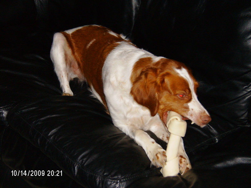 Scaled image 2009-hpim5586.jpg 