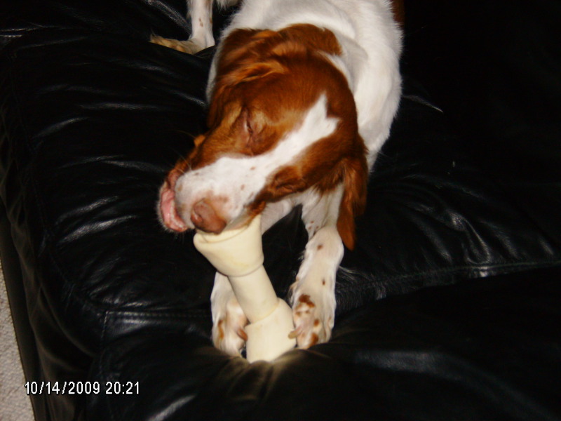 Scaled image 2009-hpim5589.jpg 