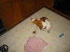 Thumbnail 2004-img_0400.jpg 