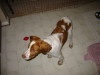 Thumbnail 2004-img_0401.jpg 