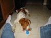 Thumbnail 2004-img_0402.jpg 