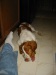 Thumbnail 2004-img_0403.jpg 