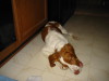 Thumbnail 2004-img_0404.jpg 