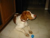 Thumbnail 2004-img_0405.jpg 