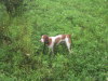 Thumbnail 2004-img_2045.jpg 