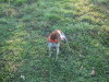 Thumbnail 2004-img_2064.jpg 