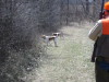 Thumbnail 2005-img_0514.jpg 