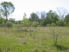 Thumbnail 2005-img_0517.jpg 