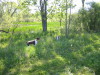 Thumbnail 2005-img_0521.jpg 