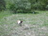Thumbnail 2005-img_0522.jpg 