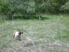 Thumbnail 2005-img_0523.jpg 