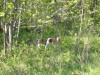 Thumbnail 2005-img_0525.jpg 