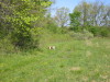 Thumbnail 2005-img_0528.jpg 