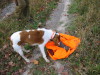 Thumbnail 2005-img_0543.jpg 