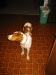 Thumbnail 2005-img_0548.jpg 