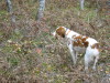 Thumbnail 2005-img_0550.jpg 