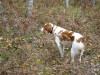 Thumbnail 2005-img_0551.jpg 