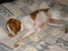 Thumbnail 2005-img_0573.jpg 