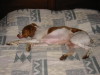 Thumbnail 2005-img_0574.jpg 