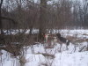Thumbnail 2005-img_2158.jpg 