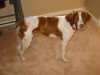 Thumbnail 2005-jesse1.jpg 
