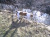 Thumbnail 2006-0123061250.jpg 
