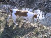 Thumbnail 2006-0123061250a.jpg 