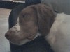 Thumbnail 2006-0727061830.jpg 