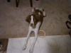 Thumbnail 2006-0807050428.jpg 