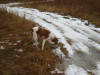 Thumbnail 2006-img_0576.jpg 