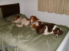 Thumbnail 2008-hpim5540.jpg 