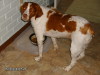 Thumbnail 2009-hpim5561.jpg 