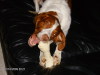 Thumbnail 2009-hpim5588.jpg 