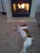 Thumbnail 2010-1221_154251.jpg 