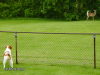 Thumbnail 2010-hpim5604.jpg 