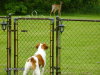 Thumbnail 2010-hpim5605.jpg 