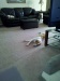 Thumbnail 2011-0724_095128.jpg 