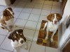 Thumbnail 2011-0724_100059.jpg 