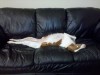 Thumbnail 2011-1009_171021.jpg 