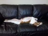 Thumbnail 2011-1009_171029.jpg 