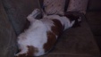 Thumbnail 2012-08-11_15-47-53_617.jpg 