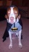 Thumbnail 2012-10-17_18-14-39_364.jpg 