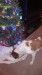 Thumbnail 2013-1225_081144_668.jpg 
