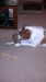 Thumbnail 2013-1225_081613_650.jpg 